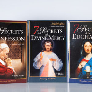 7 Secrets - Vinny Flinn Book Bundle
